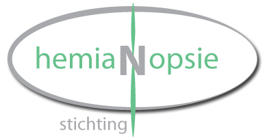 hemianopsiestichting